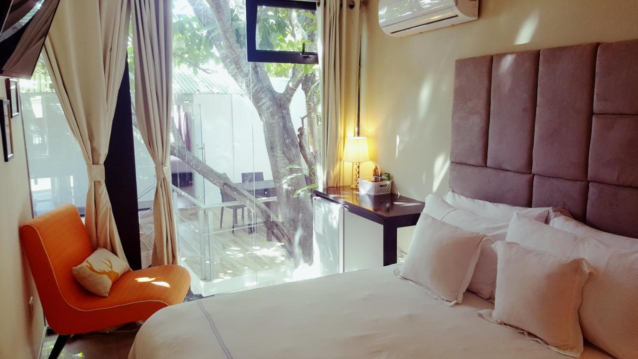 Hotel Santa Clara Сан Фернандо де Монте Кристи Екстериор снимка